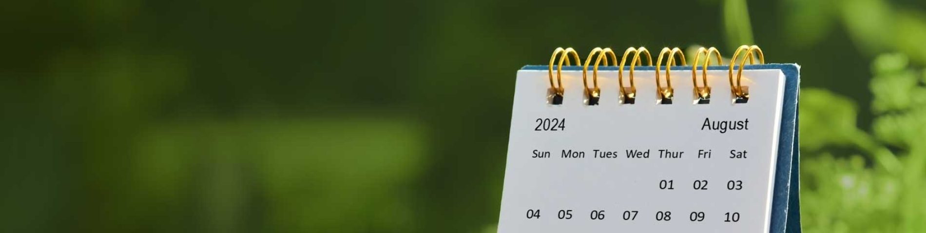 A desk calendar opened to August 2024, set against a blurred green background.