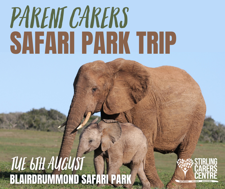 Image of two elephants, an adult and a baby, walking on green grass with trees in the background. Overlay text reads Parent Carers Safari Park Trip, Tue 6th August, Blairdrummond Safari Park with a Stirling Carers Centre logo in the bottom right corner.