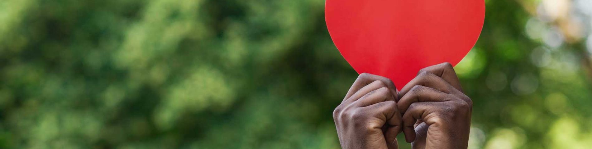 Black hands holding red paper heart on green background