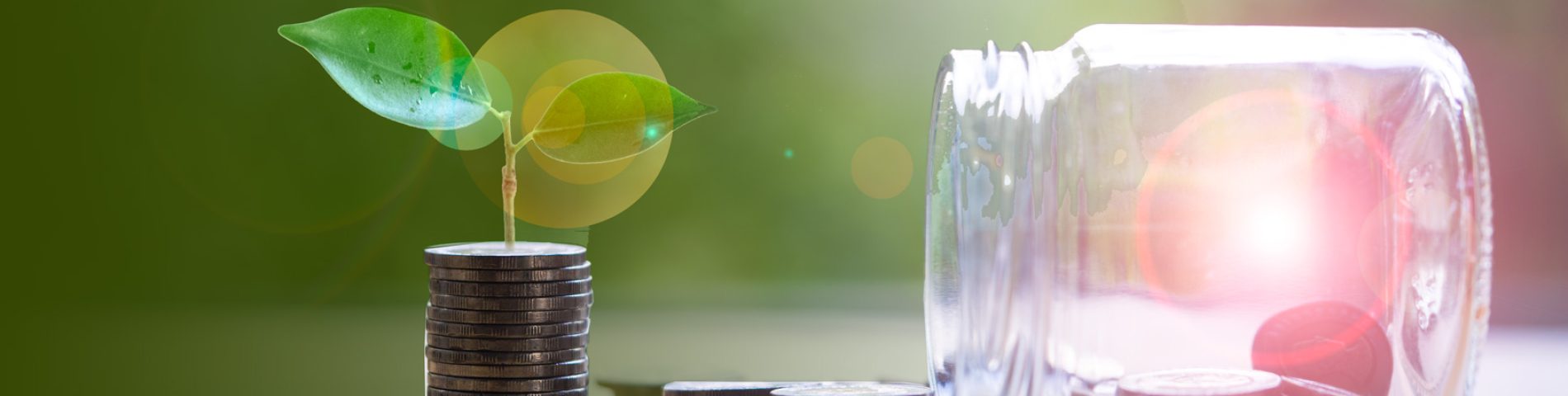 Plants growing on coins and many coins from jar glass with green bokeh background