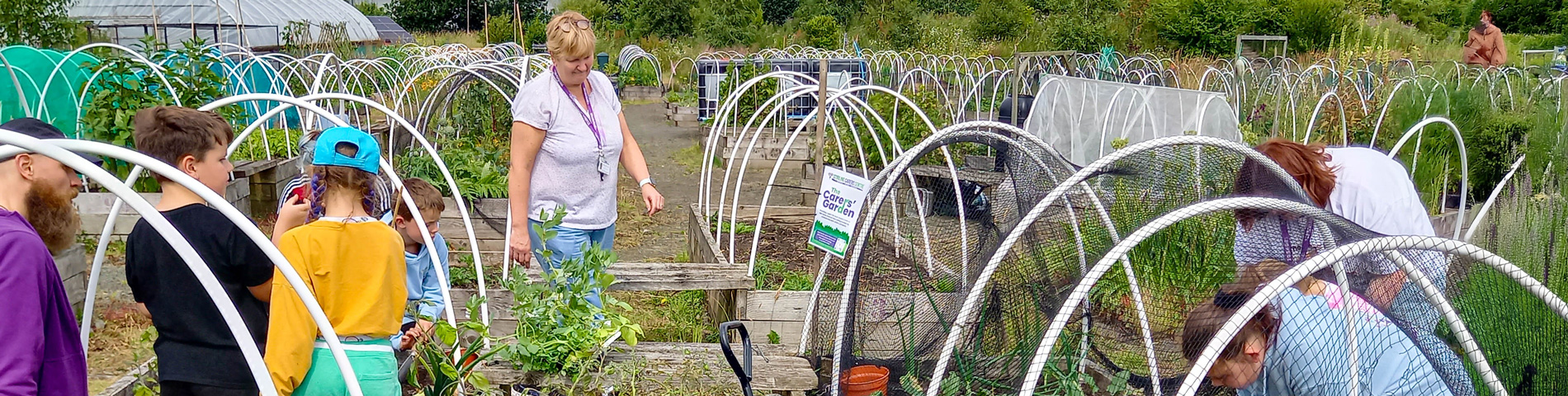 People gardening in community plots with netting tunnels and greenery around.